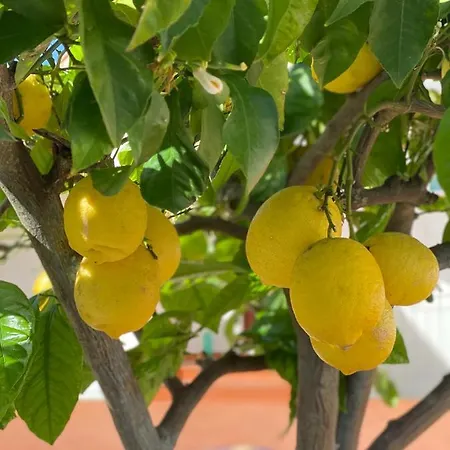 Hébergement de vacances Casaale Anacapri (Isola di Capri)